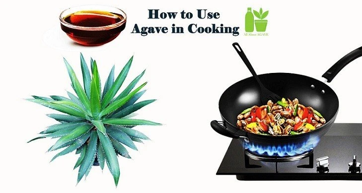 how to use agave in cooking